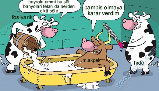 Sütaş karikatürleri Nizip.com'da Olursa.