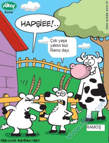 Sütaş karikatürleri Nizip.com'da Olursa.