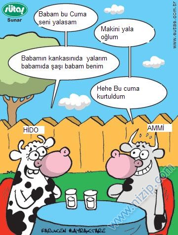 Sütaş karikatürleri Nizip.com'da Olursa.