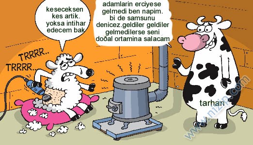 Sütaş karikatürleri Nizip.com'da Olursa.