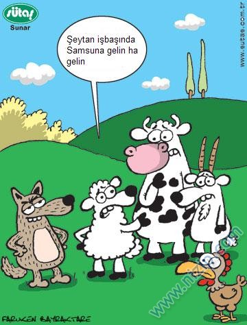 Sütaş karikatürleri Nizip.com'da Olursa.