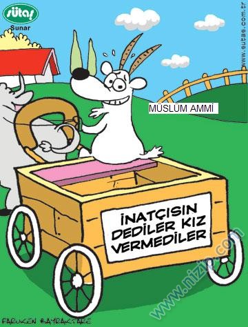 Sütaş karikatürleri Nizip.com'da Olursa.