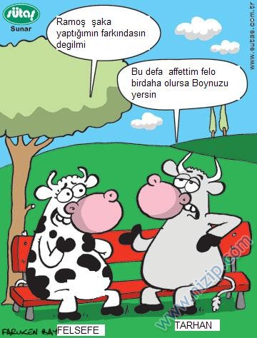 Sütaş karikatürleri Nizip.com'da Olursa.