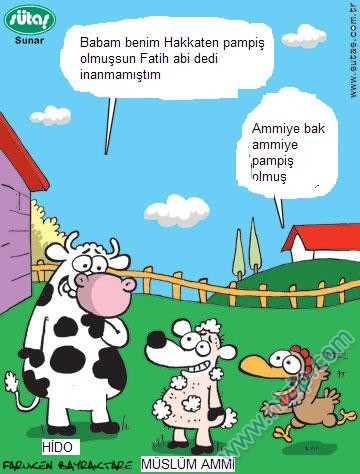 Sütaş karikatürleri Nizip.com'da Olursa.