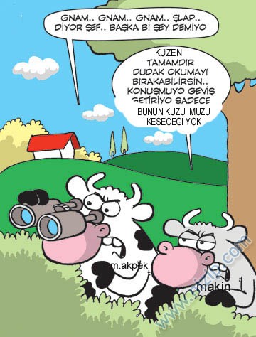 Sütaş karikatürleri Nizip.com'da Olursa.