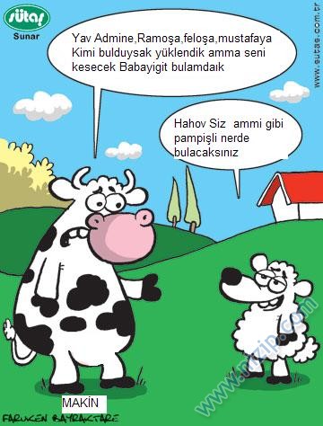 Sütaş karikatürleri Nizip.com'da Olursa.