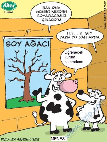 Sütaş karikatürleri Nizip.com'da Olursa.