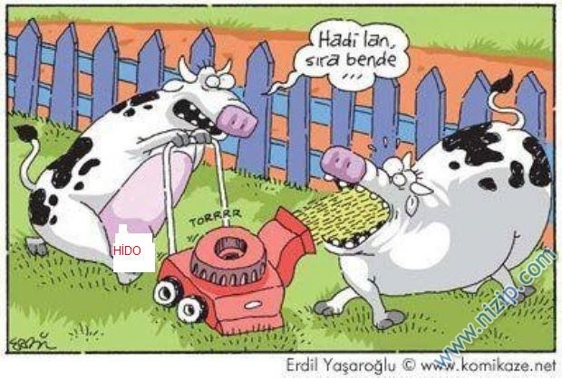 Sütaş karikatürleri Nizip.com'da Olursa.