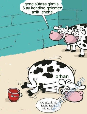 Sütaş karikatürleri Nizip.com'da Olursa.