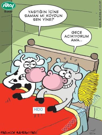 Sütaş karikatürleri Nizip.com'da Olursa.