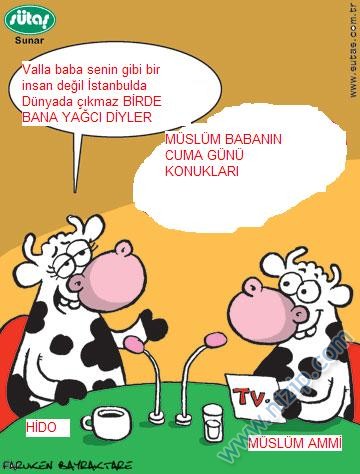 Sütaş karikatürleri Nizip.com'da Olursa.