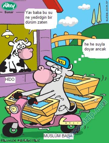 Sütaş karikatürleri Nizip.com'da Olursa.