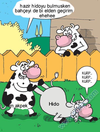 Sütaş karikatürleri Nizip.com'da Olursa.