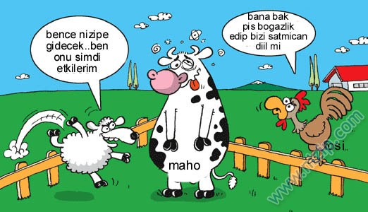 Sütaş karikatürleri Nizip.com'da Olursa.