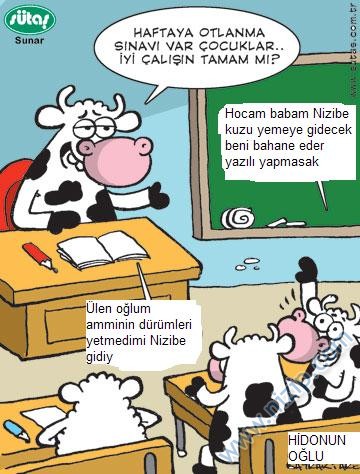 Sütaş karikatürleri Nizip.com'da Olursa.