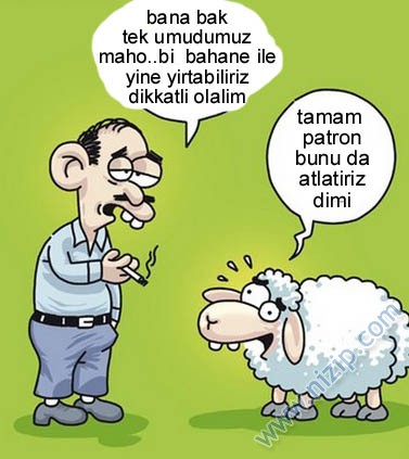 Sütaş karikatürleri Nizip.com'da Olursa.