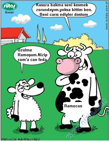 Sütaş karikatürleri Nizip.com'da Olursa.