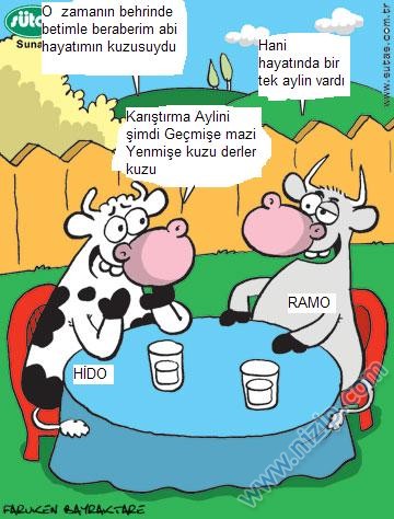 Sütaş karikatürleri Nizip.com'da Olursa.