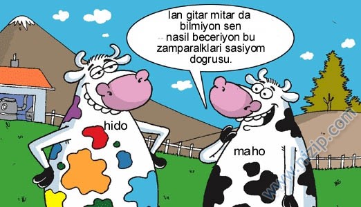 Sütaş karikatürleri Nizip.com'da Olursa.