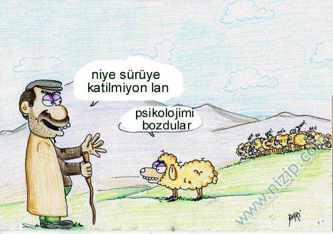 Sütaş karikatürleri Nizip.com'da Olursa.