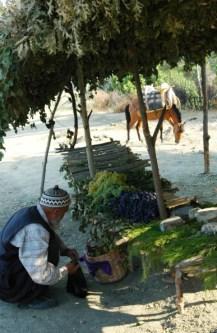 Yazılmayanlar ve Biz Aslında Çok Yorgunuz