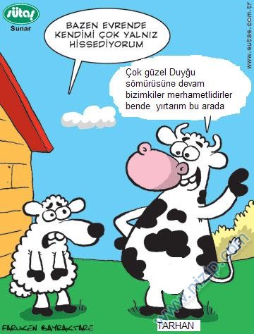 Sütaş karikatürleri Nizip.com'da Olursa.