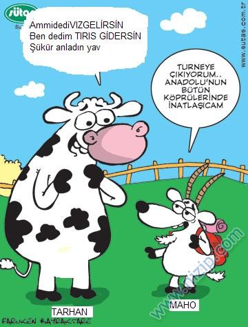 Sütaş karikatürleri Nizip.com'da Olursa.