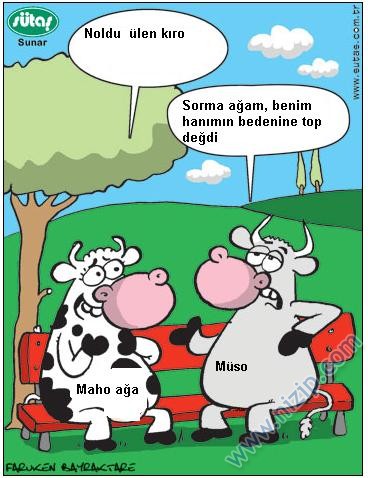 Sütaş karikatürleri Nizip.com'da Olursa.