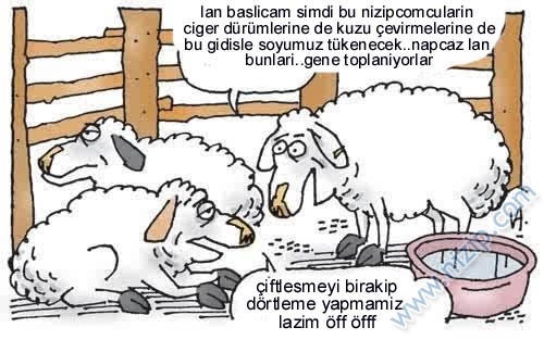 Sütaş karikatürleri Nizip.com'da Olursa.