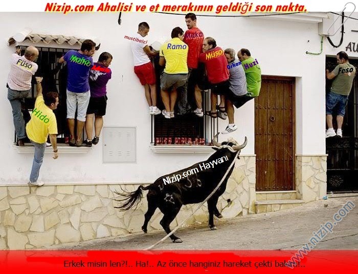 Nizip.com Hayvanı