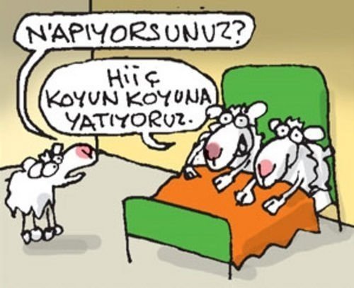 Nizip.com Hayvanı