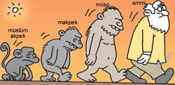 Nizipcom evrim teorisi
