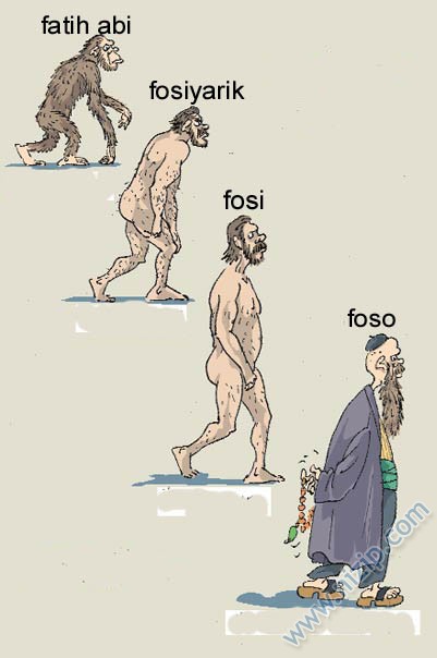 Nizipcom evrim teorisi