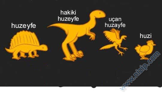 Nizipcom evrim teorisi