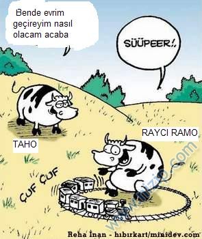 Nizipcom evrim teorisi
