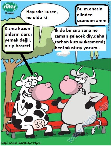 Sütaş karikatürleri Nizip.com'da Olursa.