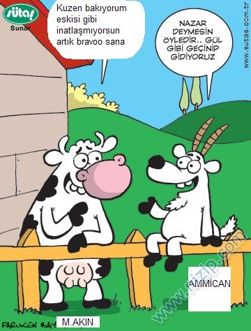 Sütaş karikatürleri Nizip.com'da Olursa.