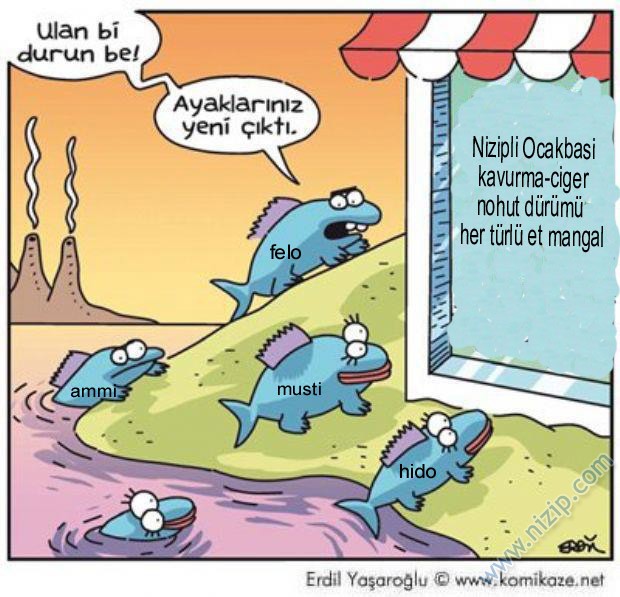 Nizipcom evrim teorisi