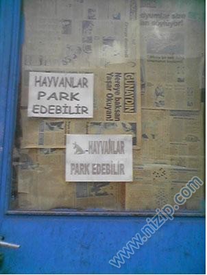 Her güne bir komiklik!.. :))