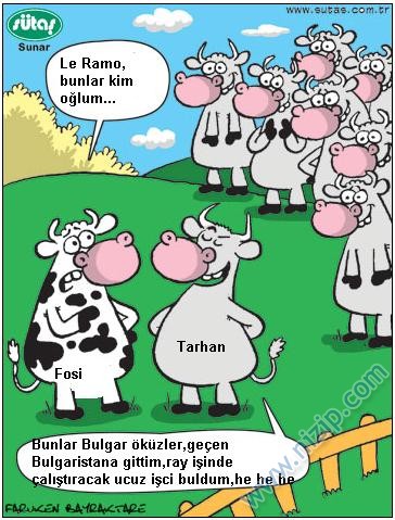 Sütaş karikatürleri Nizip.com'da Olursa.