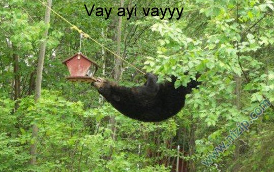 Her güne bir komiklik!.. :))