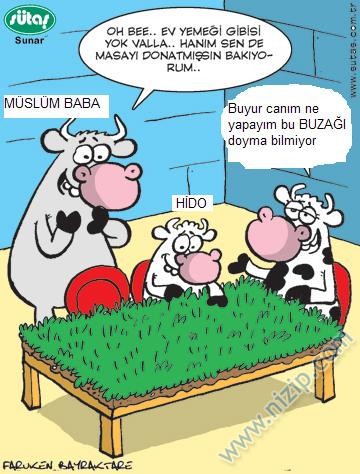 Sütaş karikatürleri Nizip.com'da Olursa.