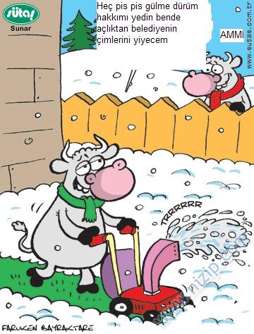 Sütaş karikatürleri Nizip.com'da Olursa.