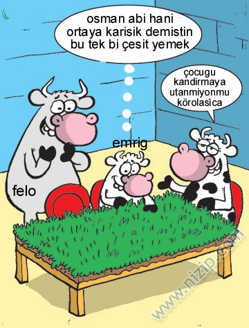 Sütaş karikatürleri Nizip.com'da Olursa.