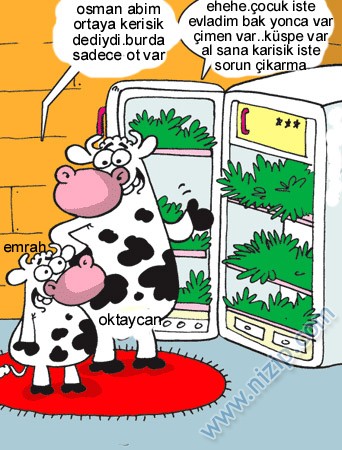 Sütaş karikatürleri Nizip.com'da Olursa.