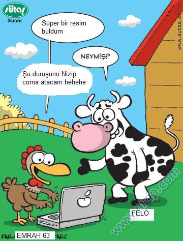 Sütaş karikatürleri Nizip.com'da Olursa.