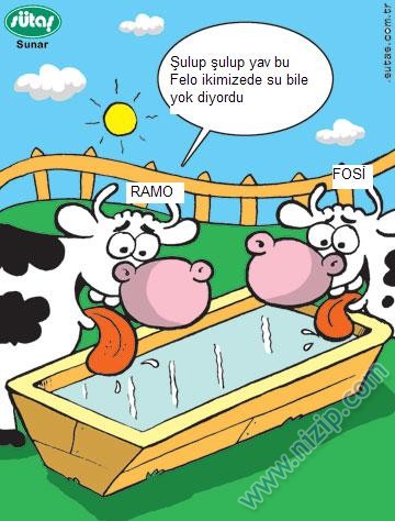 Sütaş karikatürleri Nizip.com'da Olursa.
