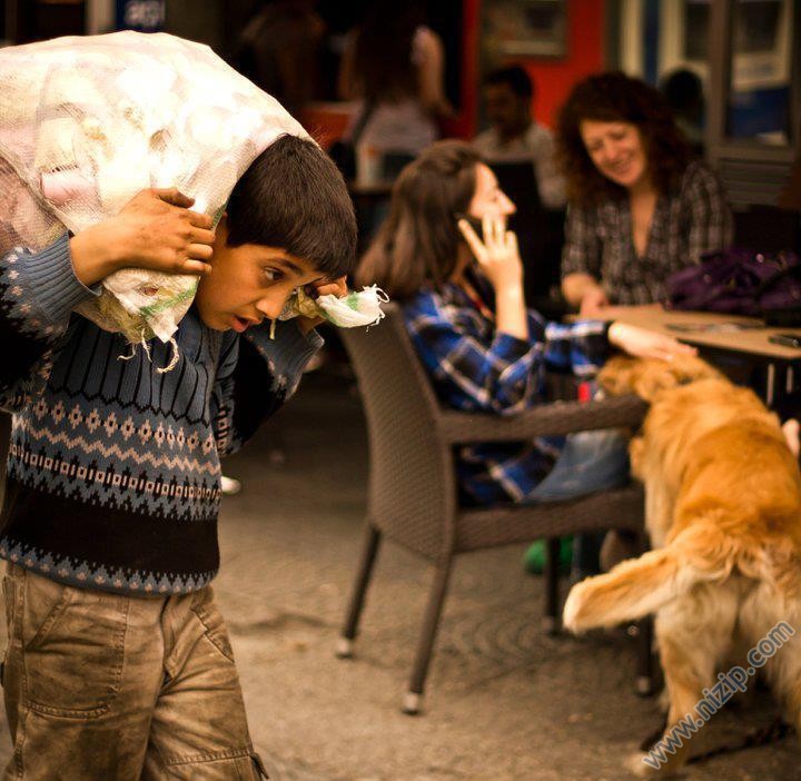 Her güne bir acı...