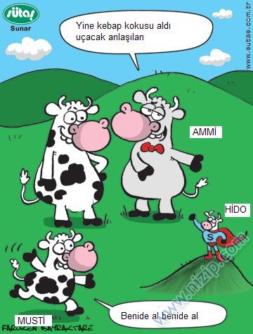 Sütaş karikatürleri Nizip.com'da Olursa.