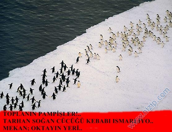 soğan kebabına davet